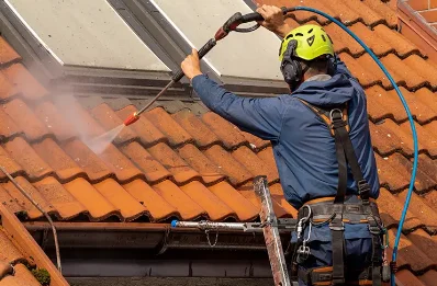 Démoussage et hydrofuge de toiture à Bonnut